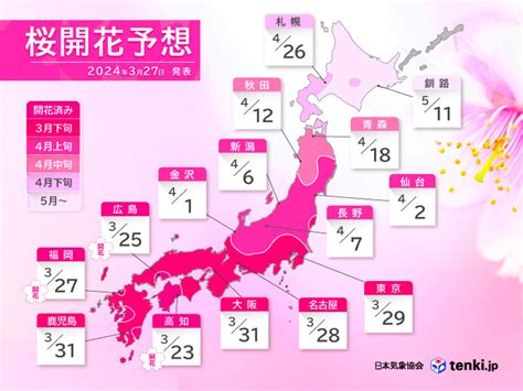 開花|桜開花予想2024 西日本や東日本の桜は満開ラッシュ